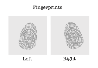 Fingerprint sheet